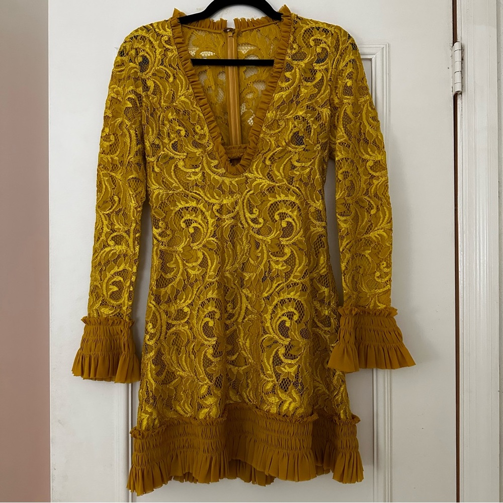 Alexis Nuray mini dress - Picture 4 of 10